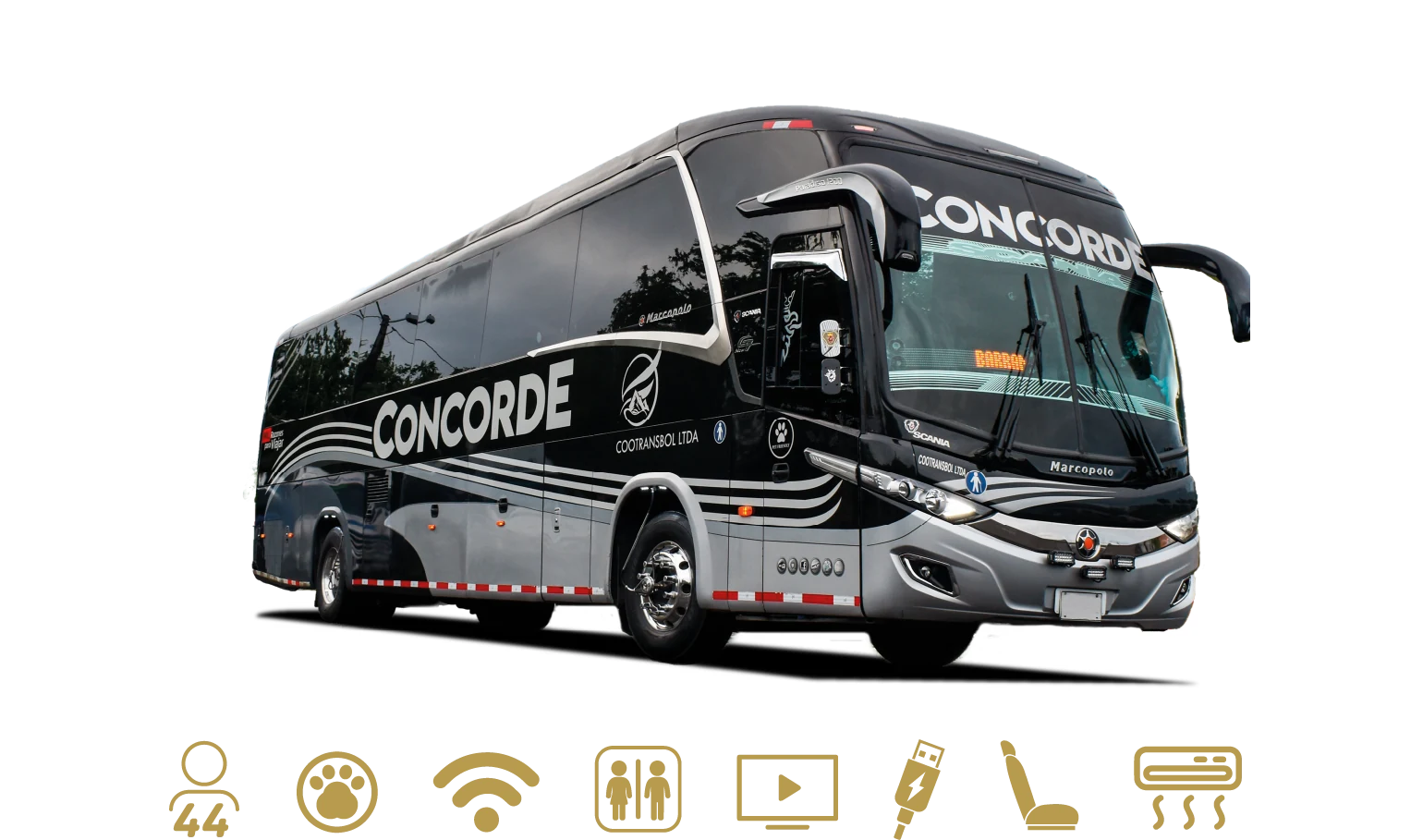 Bus Concorde de 44 pasajeros