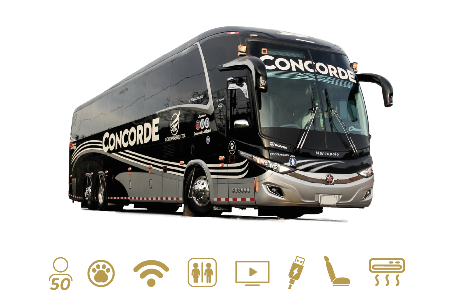 Bus Concorde de 50 pasajeros