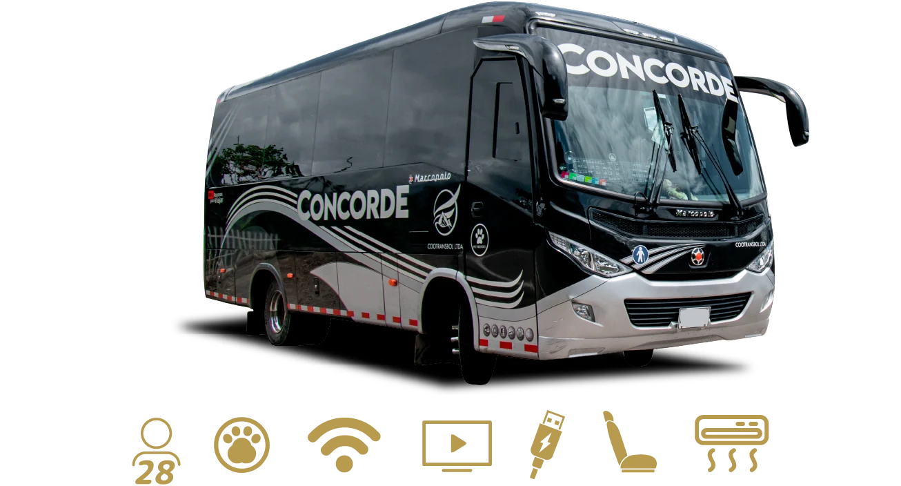Busetón Concorde de 28 pasajeros